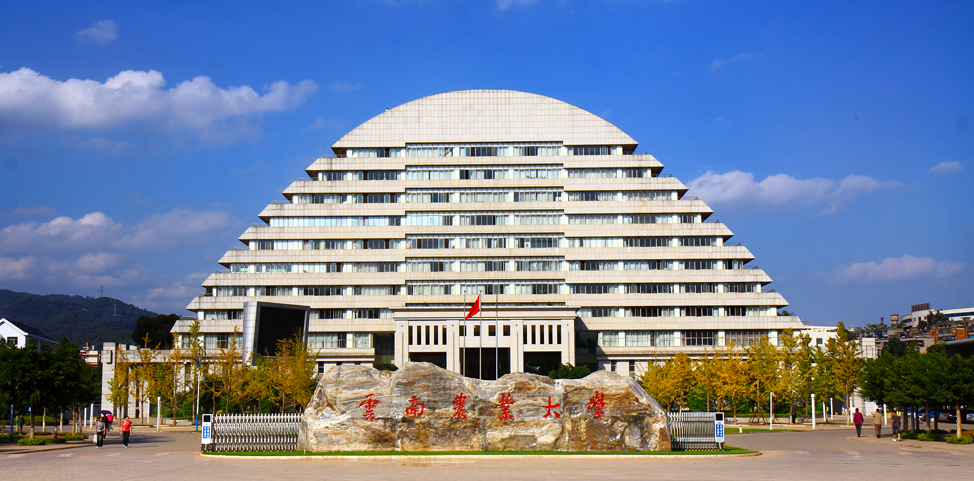 国际交流